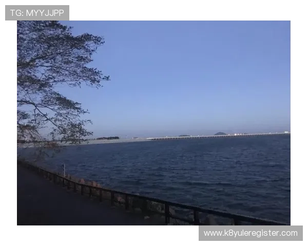 凯发娱乐会员注册流程详解助你轻松成为VIP玩家体验升级